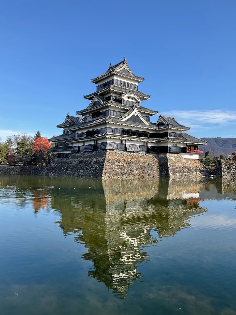 昼間の松本城