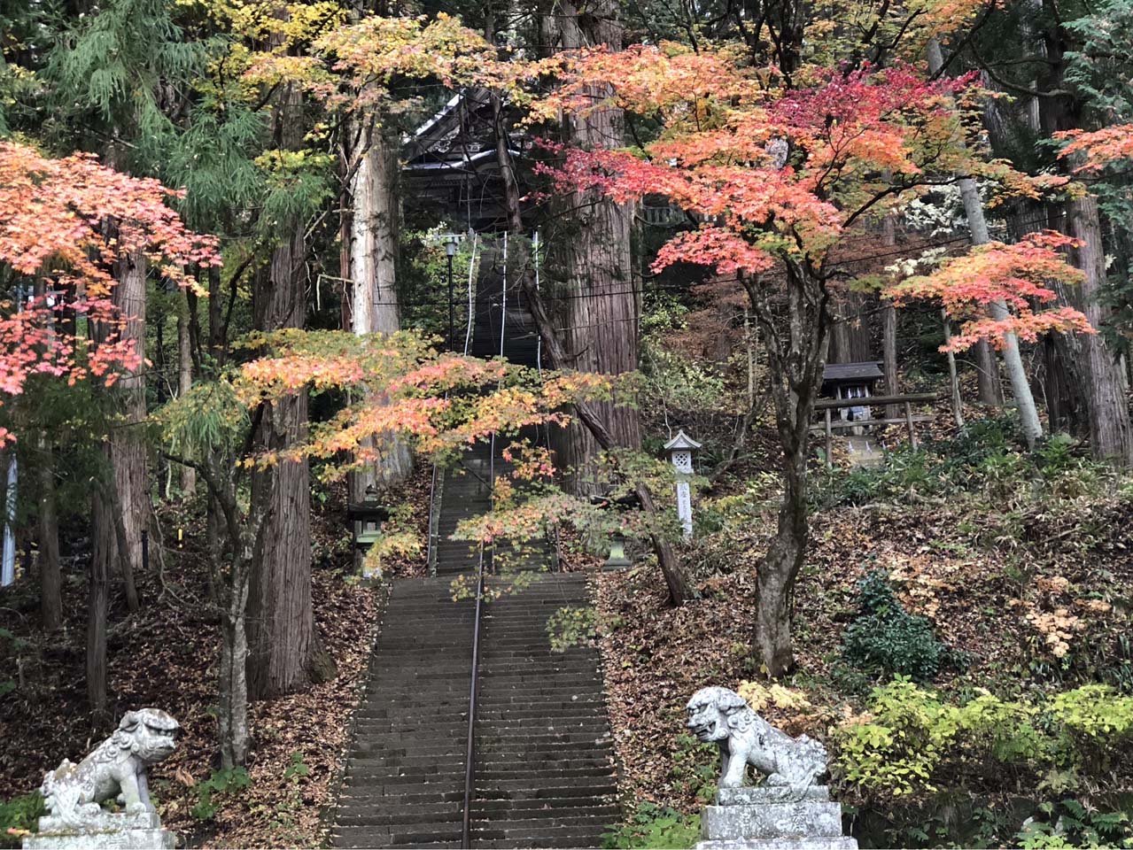 戸隠神社