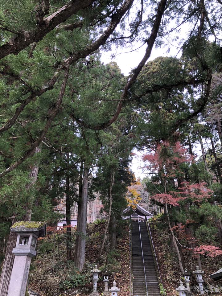 戸隠神社