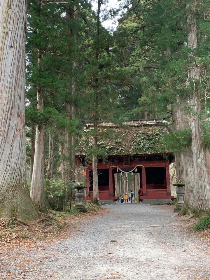 戸隠神社